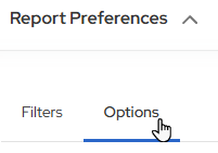 GL Reports Budgeted Financial Statement options tab.png